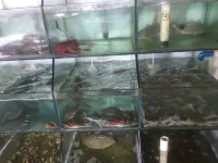 Yuliao Haiyuntian Homestay