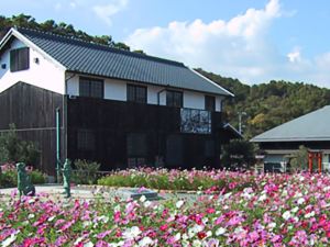 小豆島馬斯商務民宿