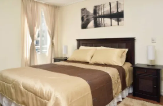 VIP Apartments Chile Hotels in 
