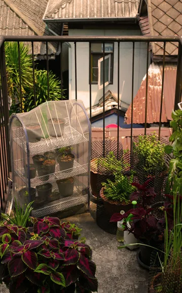 รูปภาพของบอร์น ฟรี โฮสเทล