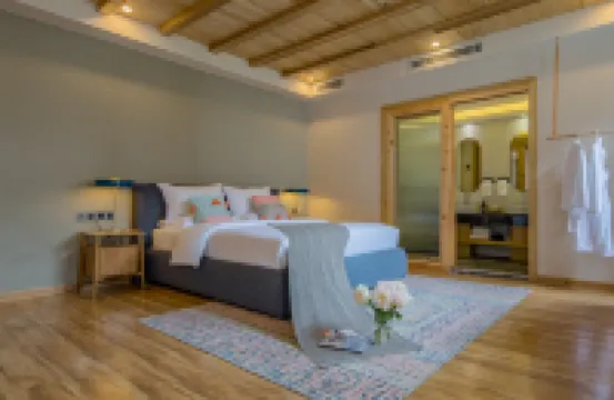 溪田·悦上   |   Alice  in  Wonderland · 愛麗絲夢遊仙境·客棧