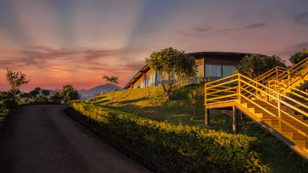 Daoshi Hotel Отели в г. Пуэр