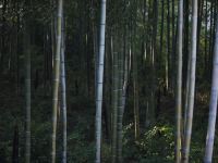 莫干山守望民宿 - 其他