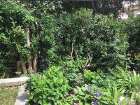 青岛岛上领地旅馆 - 花园