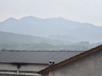 武夷山紫壁栽茶宿 - 酒店景观