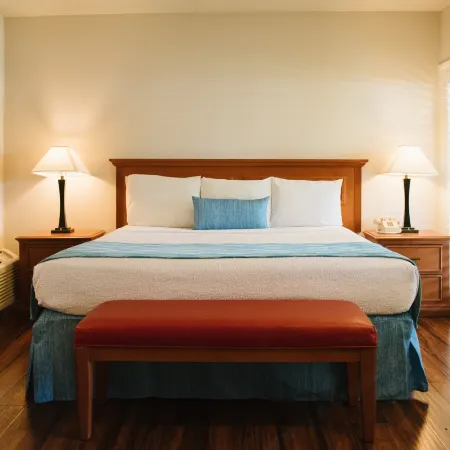 Alamo Inn and Suites - Convention Center