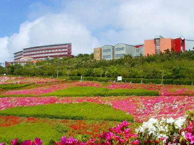 Lectore Hayama Shonan Kokusai Mura (TKP)