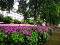 武汉东湖宾馆 - 花园