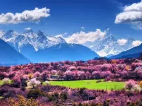 Xiaoyu Yizhan Inn Hotels in Deqin