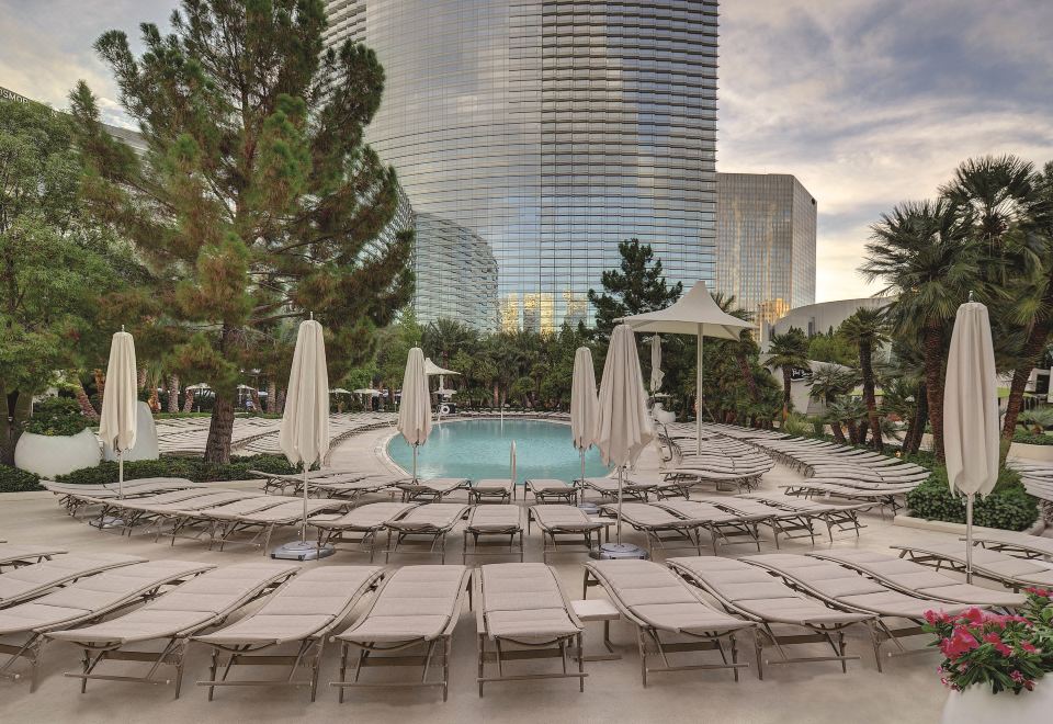 아리아 리조트 객실