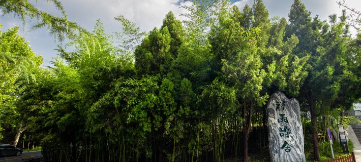Chanyu Jingshe Hotel Hotels in Longkou