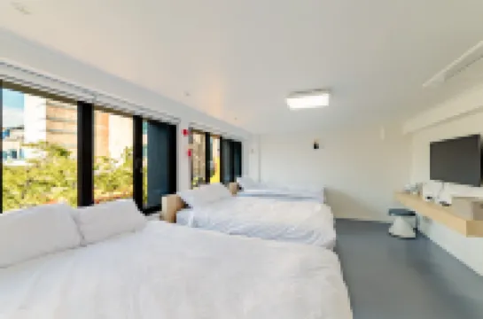 Guesthouse Dear Moon