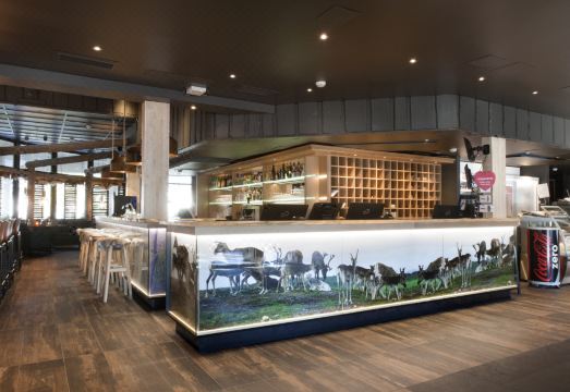 홀리데이 클럽 사리셀카