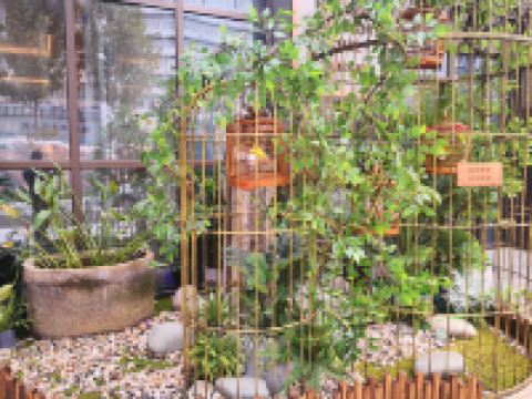 武汉山水富丽华酒店 - 花园