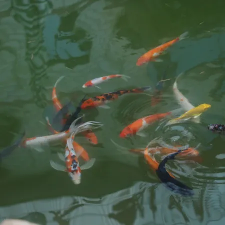 Wudang Mountain Tai Chi·Life Luxury Design Boutique Hotel