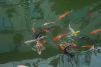 Wudang Mountain Tai Chi·Life Luxury Design Boutique Hotel - 2 ดาว