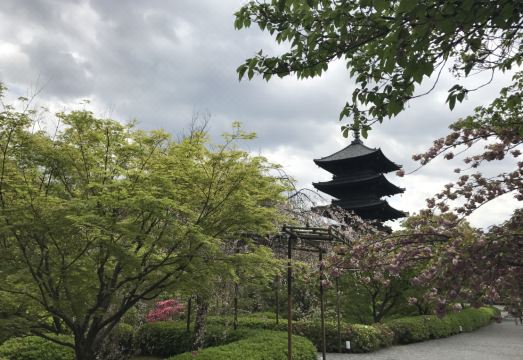 교마치야 스테이의 정원이나 내부 전통 인테리어