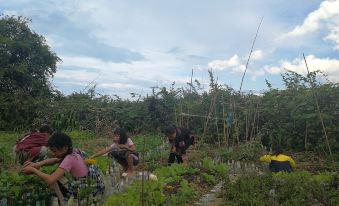 Yuanyang Green Hostel & Sunny Guesthouse