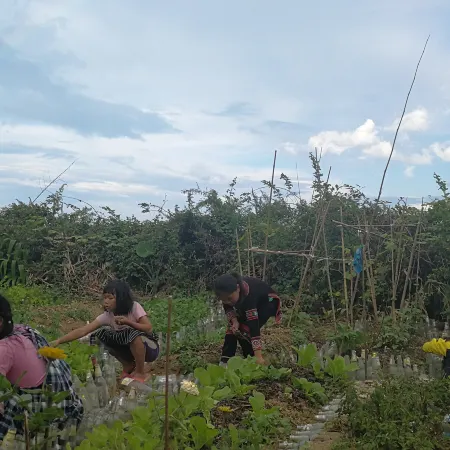 Yuanyang Green Hostel & Sunny Guesthouse