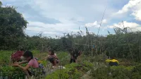 Yuanyang Green Hostel & Sunny Guesthouse