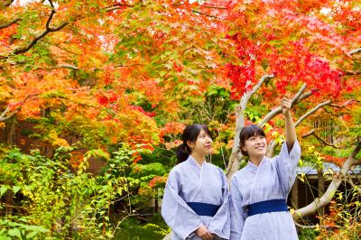 庭 星野リゾート 界 鬼怒川の写真