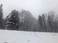 雪乡林韵山居客栈 - 其他