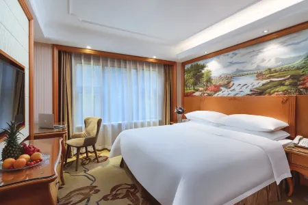 Vienna International Hotel (Nanjing South Railway Station Center)