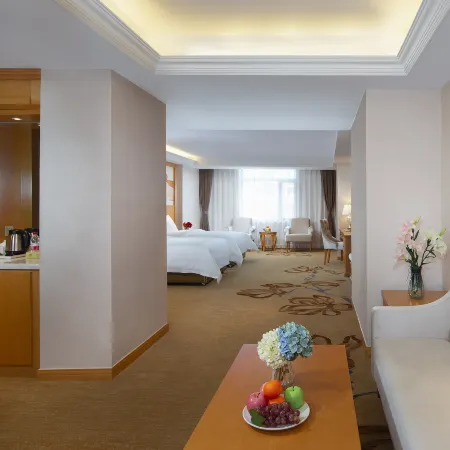 Vienna Hotel (Dunhua High-speed Railway Station)