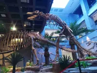 Haowangquan Hotel (Yanji Dinosaur Kingdom Korean Folk Custom Garden) - sarapan