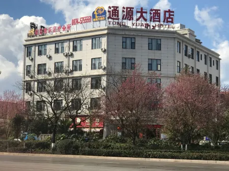 Shizong Tongyuan Hotel Отели в г. Шицзун