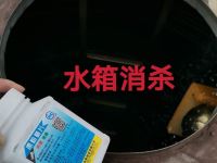 维也纳酒店(长沙县万家丽北路土桥地铁站店) - 其他