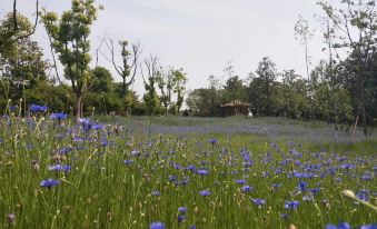 Longshan Shangxin Valley Resort