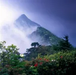 Wenxi Mountain Resort Hotel, Fanjing Mountain - Mountain View