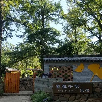 Wangya Qianyi Hostel Hotels near Guyinxing Park