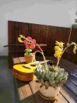Buerju Courtyard Hostel