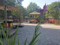 Linshui Yunzhongge Homestay Hotels in Linshui