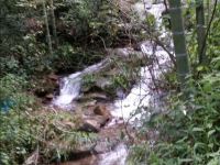 莫干山龙家客栈 - 其他