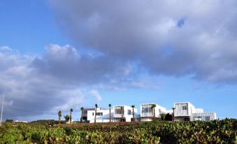 Boutique Pool Villa Namib