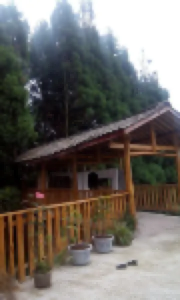 雅安第一井山荘 蒙頂山周辺のホテル