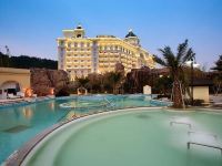浦江仙华檀宫国际度假酒店 - 室外游泳池