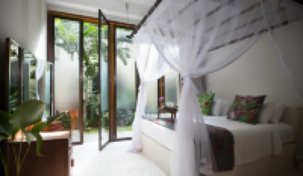 蒙特裏森林酒店