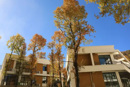 Art Holiday Hotel Bamei Отели рядом с достопримечательностью «Moshi Park Scenic Area»