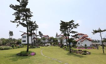 Dreamsia Pension House Jeju