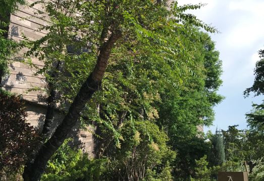 수에이우 럭셔리 모텔 객실