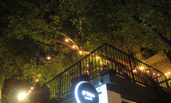 STrips the Poshtel - Hostel - Housity