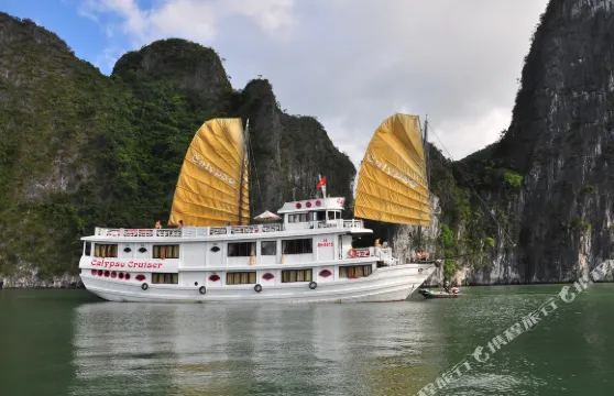 Calypso遊輪 - Lan Ha海灣