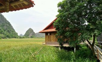 Lotus Field Homestay