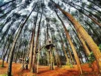 Jasmine Heritage Homestay - parking