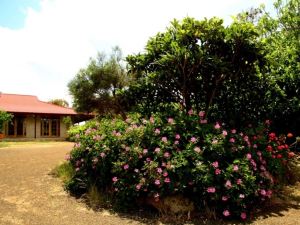 KI Rural Retreat Kangaroo Island