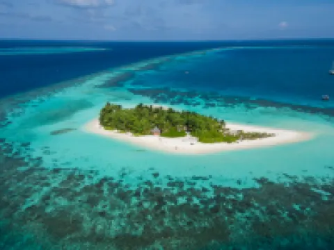 W Maldives Hotels in Fesdu